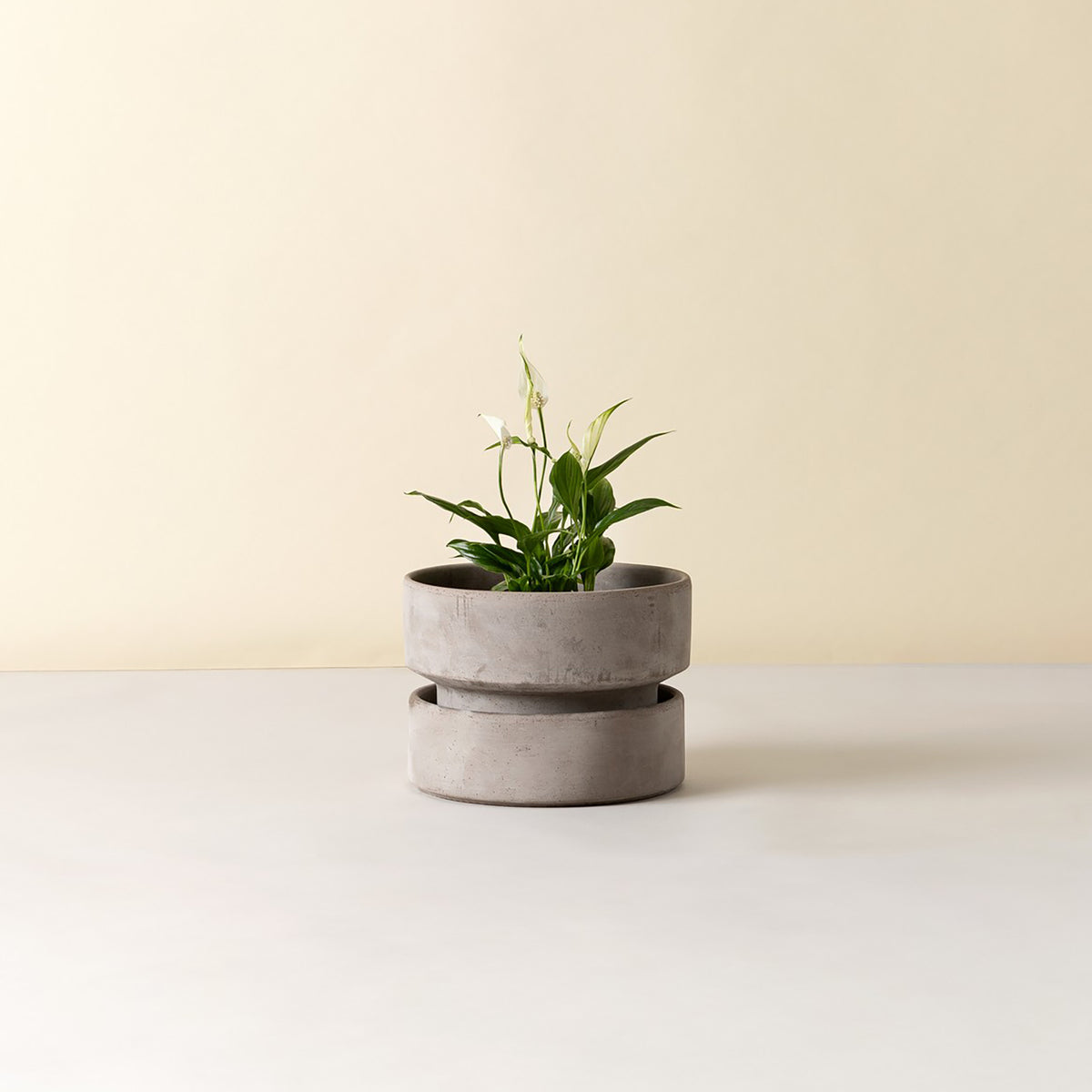 Goodee-Bergs Potter-Hoff Ø25 Low Planter - Color - Raw Grey