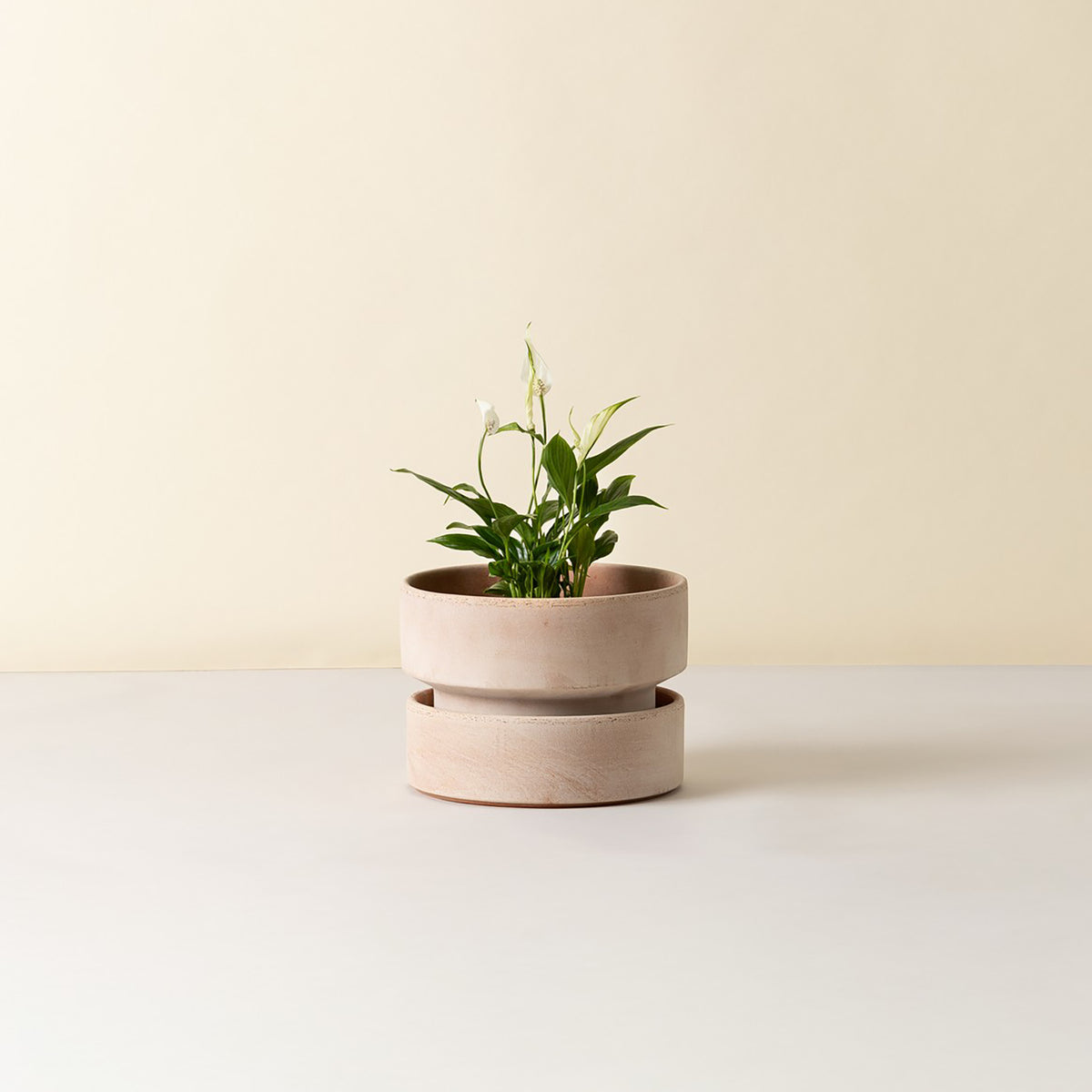 Goodee-Bergs Potter-Hoff Ø25 Low Planter - Color - Raw Rosa