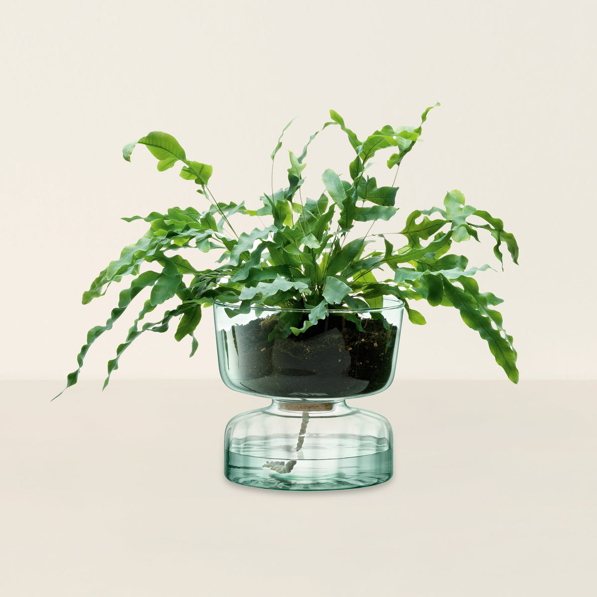 Goodee-LSA International-Canopy Self Watering Planter