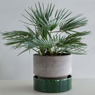 Goodee-Bergs Potter-Hoff Ø30 Planter & Saucer - Color - Raw Grey - Emerald Glazed