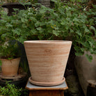 Goodee-Bergs Potter-Julie Ø30 Planter & Saucer - Color - Raw Rustic Rosa