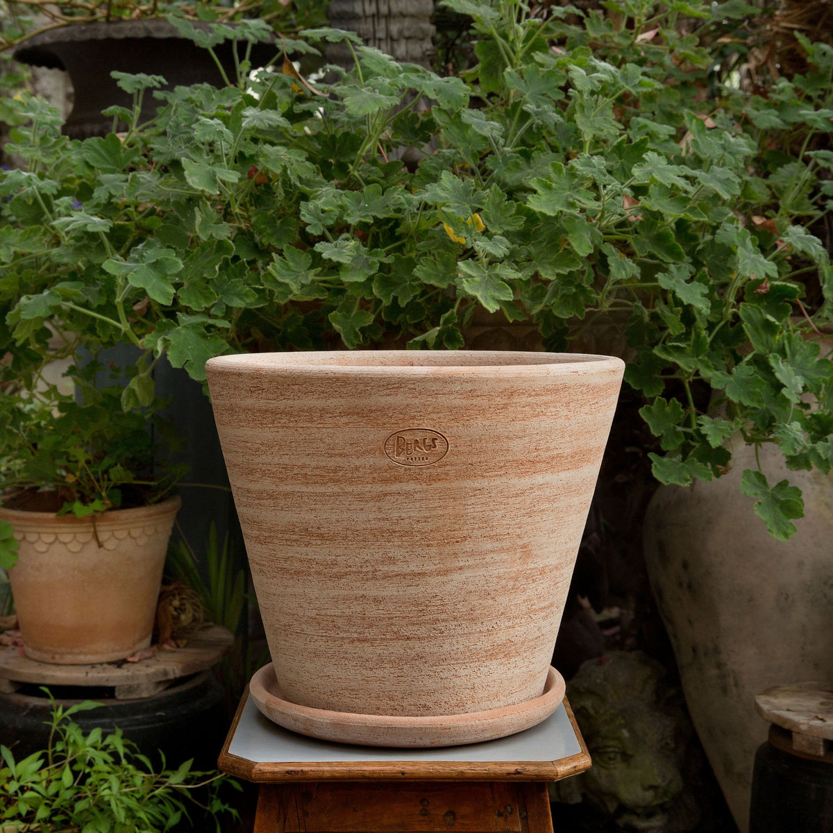 Goodee-Bergs Potter-Julie Ø30 Planter & Saucer - Color - Raw Rustic Rosa