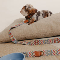 Naya Zig Zag Woven Cotton Dog Leash