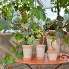 Goodee-Bergs Potter-Copenhagen Ø18 Tall Planter & Saucer - Color - Raw Rosa