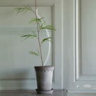 Goodee-Bergs Potter-Copenhagen Ø18 Tall Planter & Saucer - Color - Raw Grey