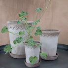 Goodee-Bergs Potter-Copenhagen Ø18 Tall Planter & Saucer - Color - Raw Grey