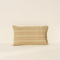 Multicolor Stripe