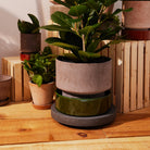 Goodee-Bergs Potter-Plant Trolley 35 - Color - Dark Stone