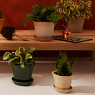 Goodee-Bergs Potter-Copenhagen Ø18 Planter & Saucer - Color - Raw Rosa